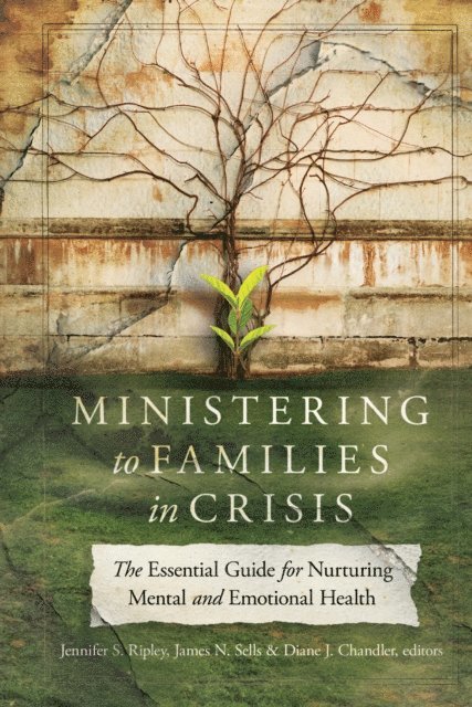 Diane J. Chandler, James N. Sells, Jennifer S. Ripley - Ministering to Families in Crisis, E-bok