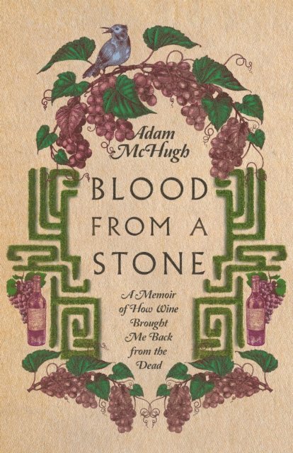 Adam S. McHugh - Blood From a Stone, E-bok