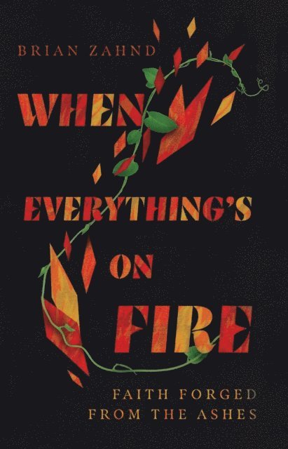Brian Zahnd - When Everything's on Fire, E-bok