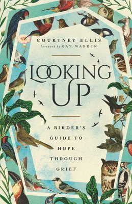 Courtney Ellis - Looking Up, Häftad