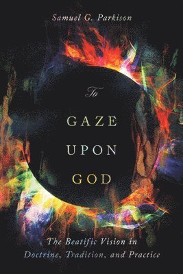 Samuel G. Parkison - To Gaze upon God, Häftad
