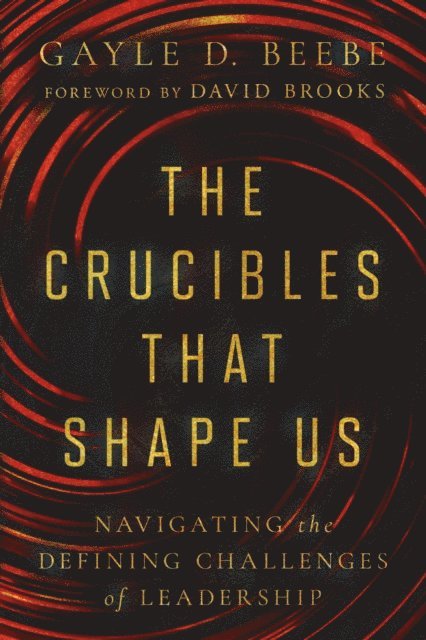 Gayle D. Beebe - Crucibles That Shape Us, E-bok