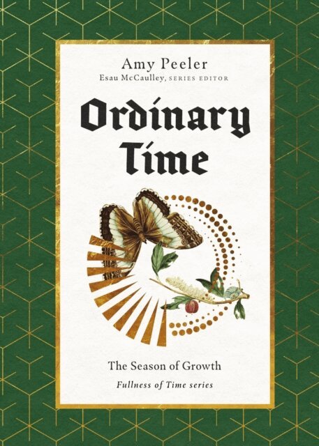 Amy Peeler - Ordinary Time, E-bok