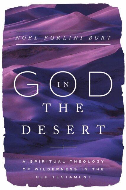 Noel Forlini Burt - God in the Desert, E-bok