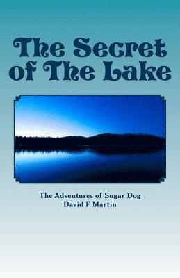 David F. Martin - The Secret of The Lake, Häftad. Tillgänglighet: Lägg i varukorg