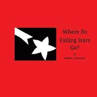 Melanie Friedersdorf - Where Do Falling Stars Go?, Häftad. Tillgänglighet: Lägg i varukorg