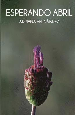 Adriana Hernandez - Esperando Abril, Häftad. Tillgänglighet: Lägg i varukorg