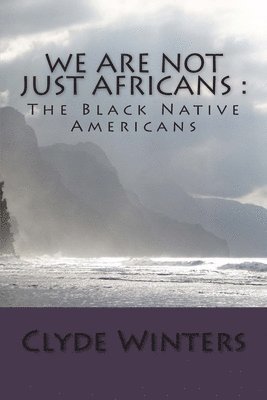 Clyde Winters - We Are Not JUST Africans: The Black Native Americans, Häftad. Tillgänglighet: Lägg i varukorg