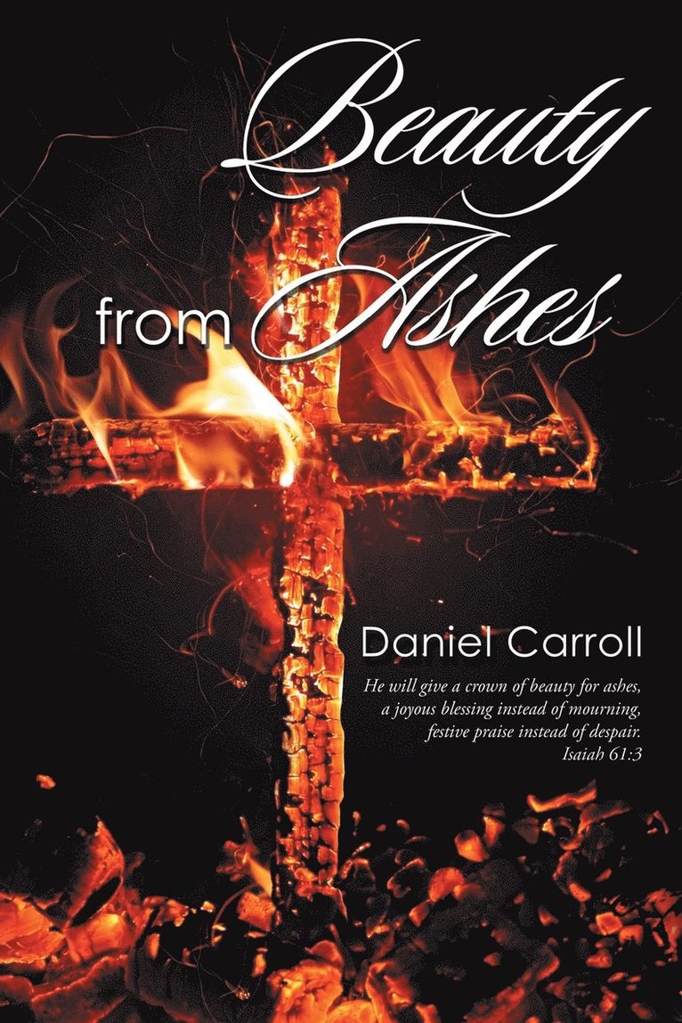 Daniel Carroll - Beauty from Ashes, Häftad. Tillgänglighet: Lägg i varukorg