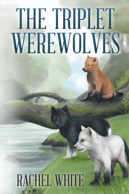 Rachel White - Triplet Werewolves, E-bok