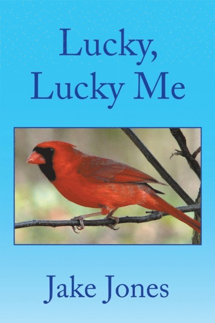 Jake Jones - Lucky, Lucky Me, E-bok