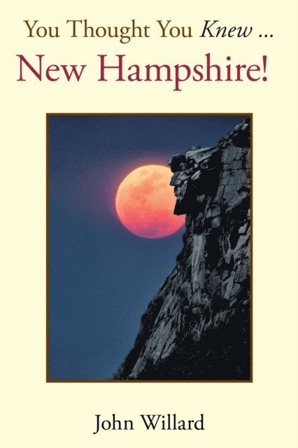 John Willard - You Thought You Knew . . ., E-bok