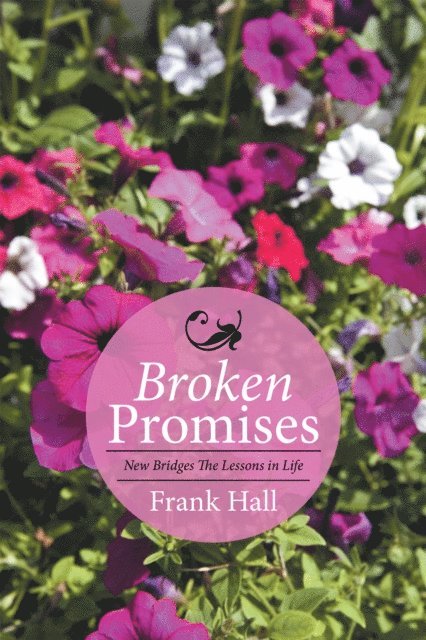 Frank Hall - Broken Promises: New Bridges the Lessons in Life, E-bok