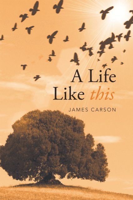 James Carson - Life Like This, E-bok