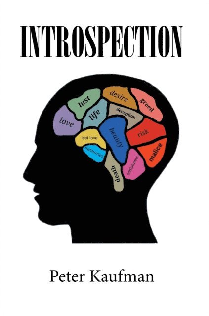Peter Kaufman - Introspection, E-bok