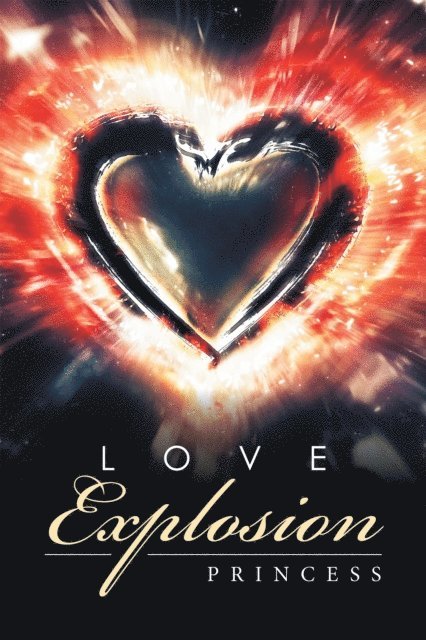 Princess - Love Explosion, E-bok