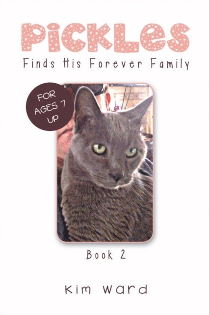 Kim Ward - Pickles Finds His Forever Family, E-bok