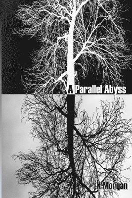 K. Morgan, K. L. Wicks - A Parallel Abyss, Häftad. Tillgänglighet: Lägg i varukorg
