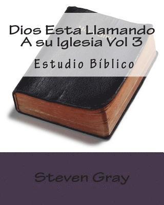 Steven Gray - Dios Esta Llamando A su Iglesia Vol 3: Estudio Bíblico, Häftad. Tillgänglighet: Lägg i varukorg