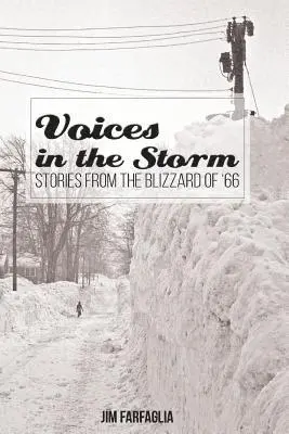 Jim Farfaglia - Voices in the Storm: Stories From The Blizzard of '66, Häftad. Tillgänglighet: Lägg i varukorg