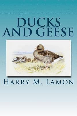 Rob R. Slocum, Harry M. Lamon - Ducks and Geese, Häftad. Tillgänglighet: Lägg i varukorg