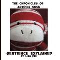 The Chronicles of Antoine Sock: Sentience Explained