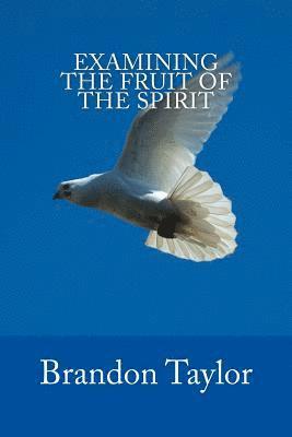 Brandon Taylor - Examining The Fruit Of The Spirit, Häftad. Tillgänglighet: Lägg i varukorg