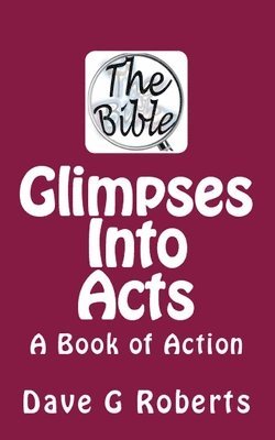 Dave G. Roberts - Glimpses Into Acts: A Book of Action, Häftad. Tillgänglighet: Lägg i varukorg