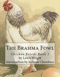 Lewis Wright - The Brahma Fowl, Häftad. Tillgänglighet: Lägg i varukorg