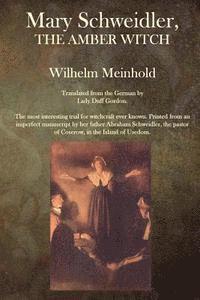 Wilhelm Meinhold - Mary Schweidler, The Amber Witch, Häftad. Tillgänglighet: Lägg i varukorg