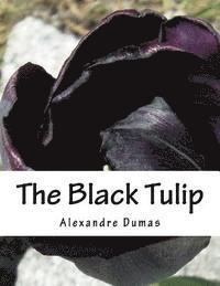 Dumas Alexandre - The Black Tulip, Häftad. Tillgänglighet: Lägg i varukorg