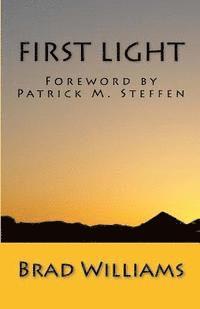 Brad Williams - First Light: Understanding God from the Beginning, Häftad. Tillgänglighet: Lägg i varukorg