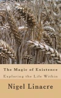 Nigel Linacre - The Magic of Existence: Exploring the Divine Within, Häftad