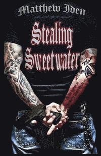 Matthew Iden - Stealing Sweetwater, Häftad