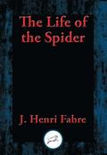 Life of the Spider