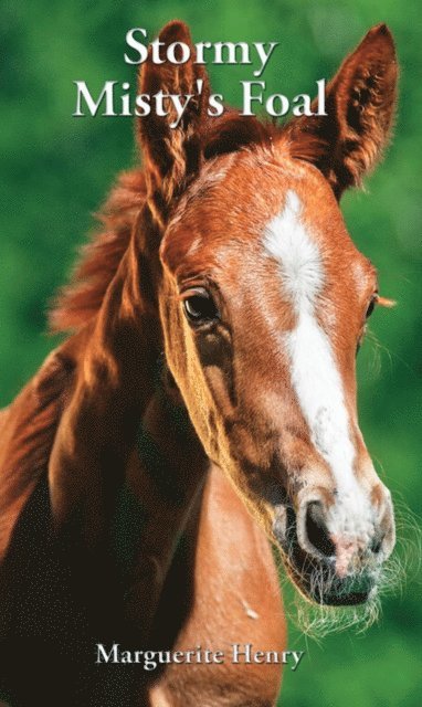 Marguerite Henry - Stormy, Misty's Foal, E-bok