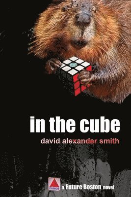 David Alexander Smith - In the Cube, Häftad