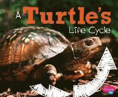 Mary R. Dunn - A Turtle's Life Cycle, Inbunden