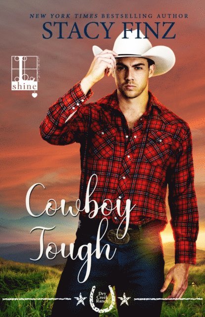 Stacy Finz - Cowboy Tough, E-bok