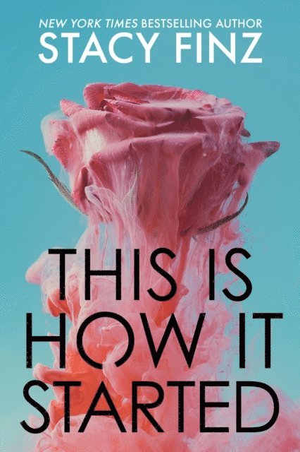 Stacy Finz - This Is How It Started, E-bok