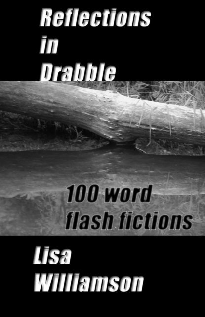 Lisa Williamson - Reflections in Drabble, E-bok
