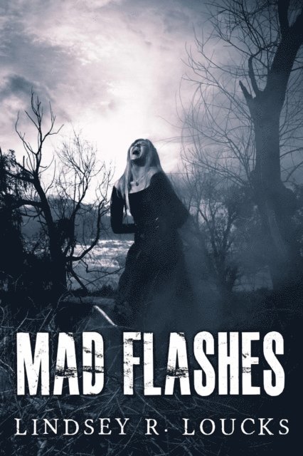 Lindsey Loucks - Mad Flashes, E-bok