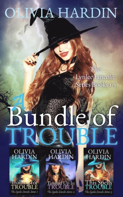 Olivia Hardin - Bundle of Trouble (The Lynlee Lincoln Series Books 1-3), E-bok