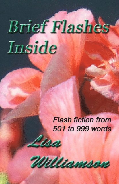 Lisa Williamson - Brief Flashes Inside, E-bok