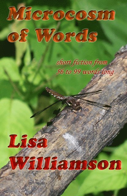 Lisa Williamson - Microcosm of Words, E-bok