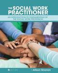 Social Work Practitioner