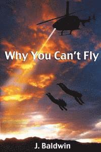 J. Baldwin - Why You Can't Fly, Häftad. Tillgänglighet: Lägg i varukorg