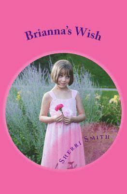 Sherri Smith - Brianna's Wish, Häftad. Tillgänglighet: Lägg i varukorg