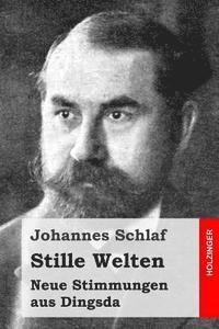 Johannes Schlaf - Stille Welten: Neue Stimmungen aus Dingsda, Häftad