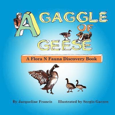 Jacqueline Francis - A Gaggle of Geese: A Flora N. Fauna Discovery Book, Häftad